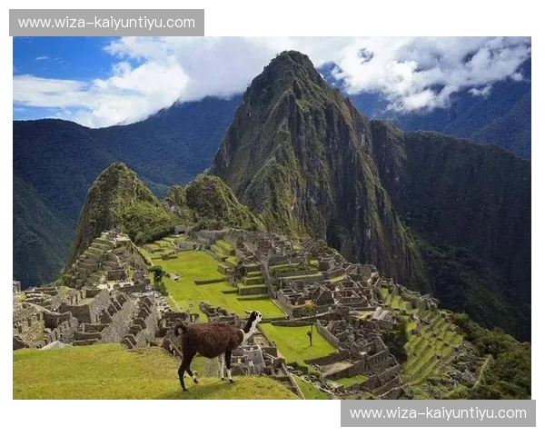 橙色风暴席卷安第斯：荷兰vs秘鲁，一场关于灵魂与战术的跨大西洋博弈